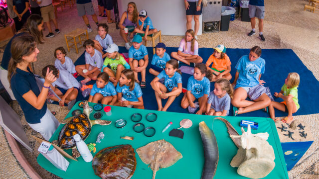 52 SUPER SERIES 2025’s sustainability initiatives remained on course, on target.