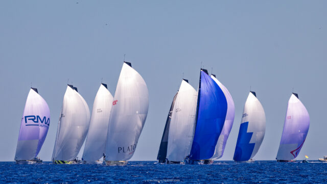 PalmaVela