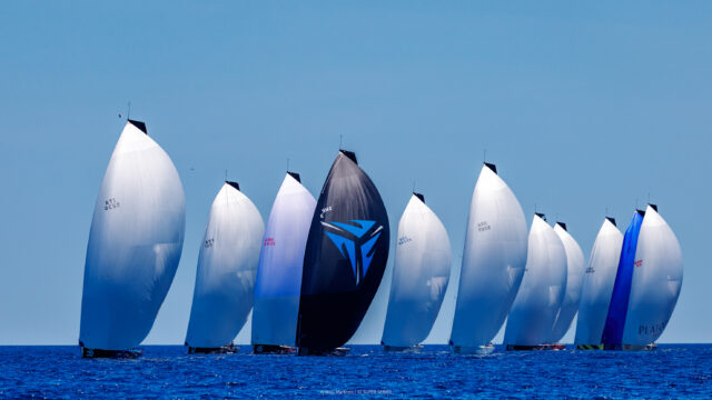 PalmaVela
